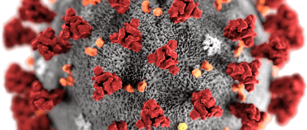 3D-Modell SarsCov2 Virus